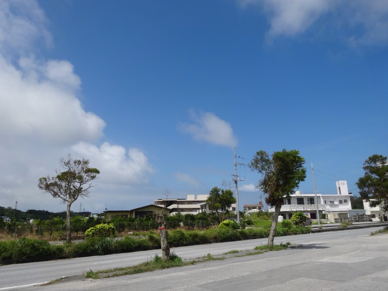 沖縄旅行の風景
